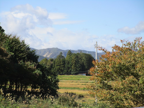 富岡町の保健センターの前の田園風景。